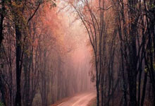 斯诺克最新战报！1-4到4-4，囧哥绝地反击冲决赛.