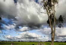 tk体育官网:迪巴拉社媒:评估选择之后决定接受手术,将为罗马和阿根廷队加油.