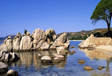 tk体育官网：穆夏拉本赛季为拜仁打进第4粒头球 五大联赛最多.